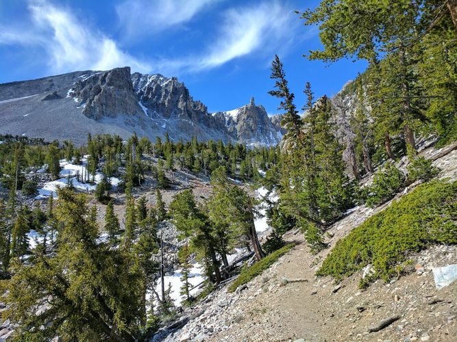Bristlecone Trail