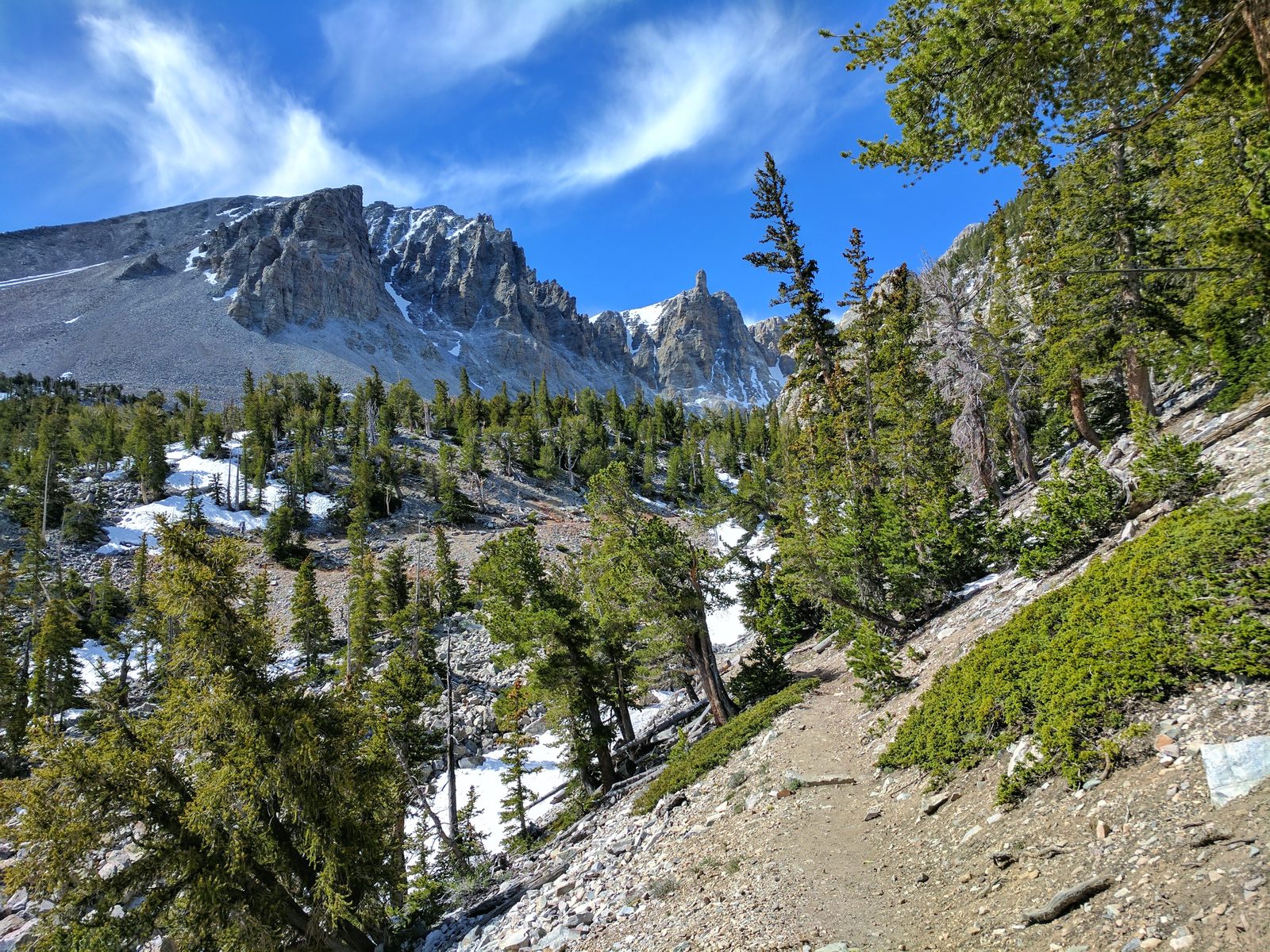 Bristlecone Trail