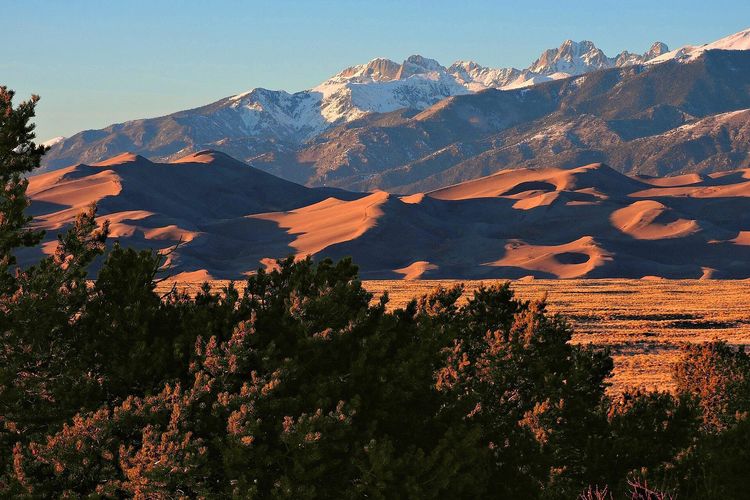 Star Dune