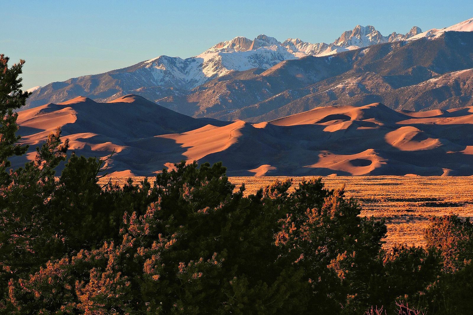 Star Dune