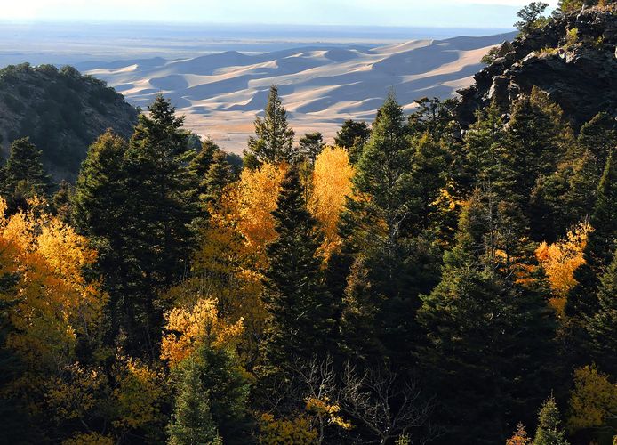 Mosca Pass Trail