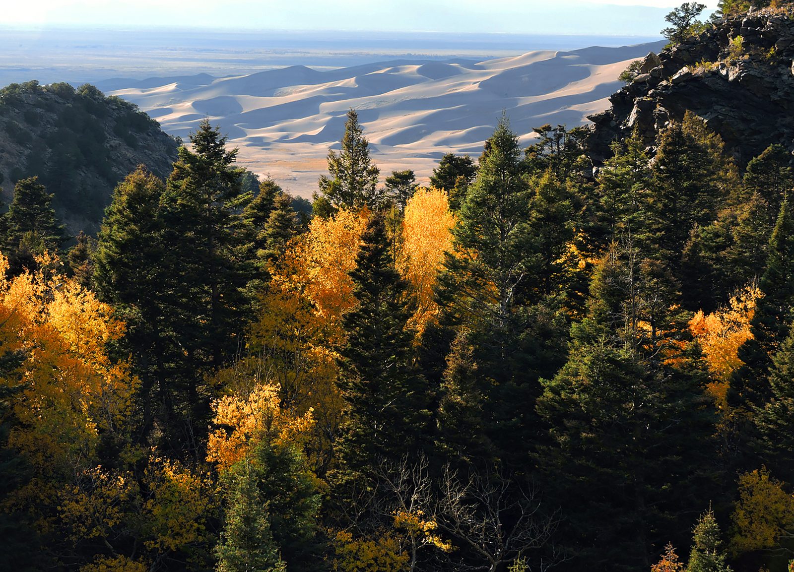 Mosca Pass Trail