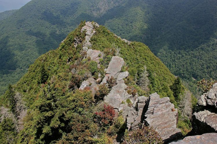 Chimney Tops
