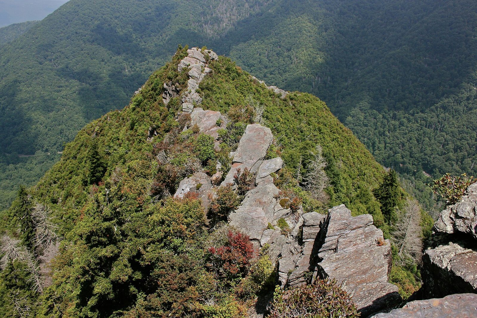 Chimney Tops