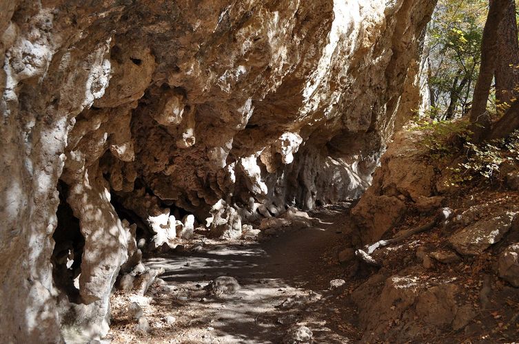 The Grotto