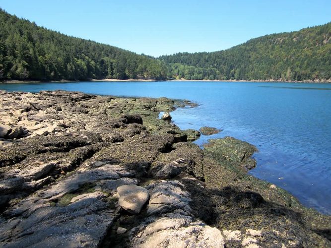 Narvaez Bay