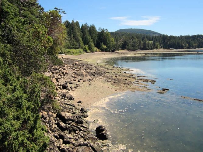 Winter Cove