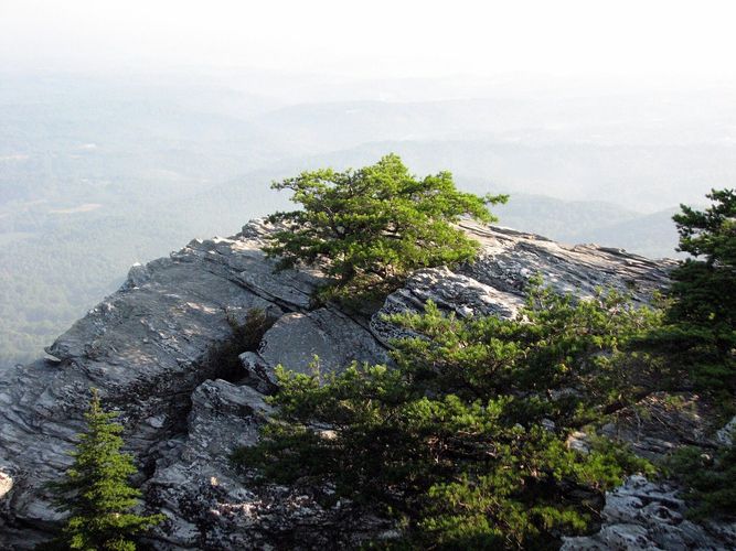 Moores Knob