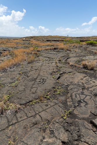 Puʻu Loa Petroglyphs