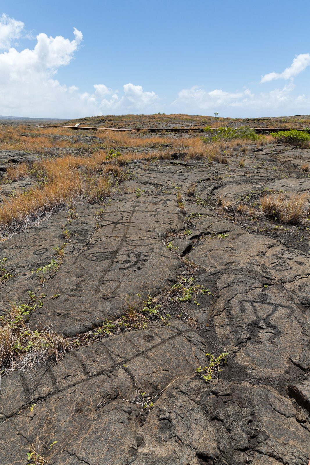 Puʻu Loa Petroglyphs