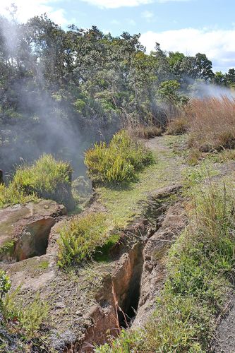 Steam Vents