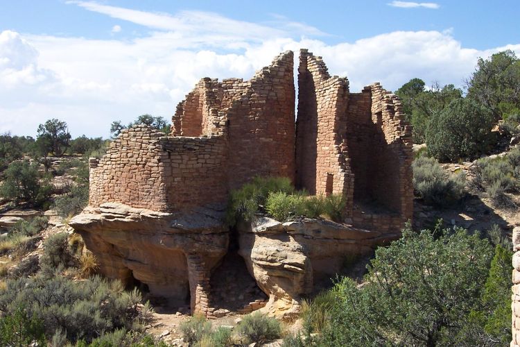 Cutthroat Castle