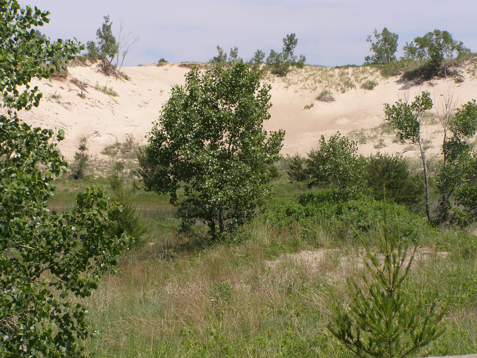 West Beach