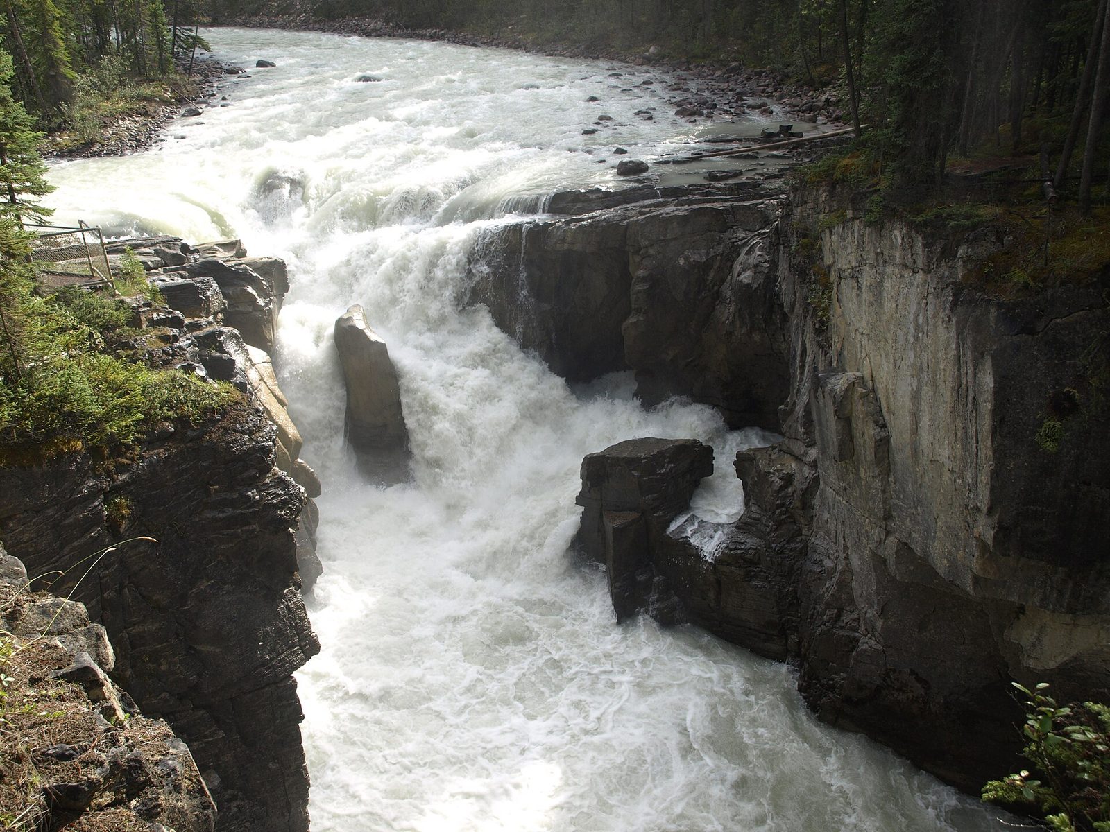 Sunwapta Falls
