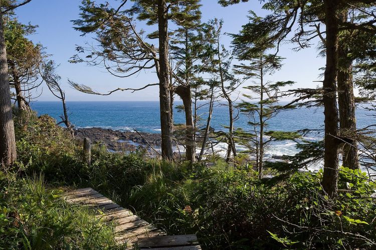 Juan de Fuca Marine Trail