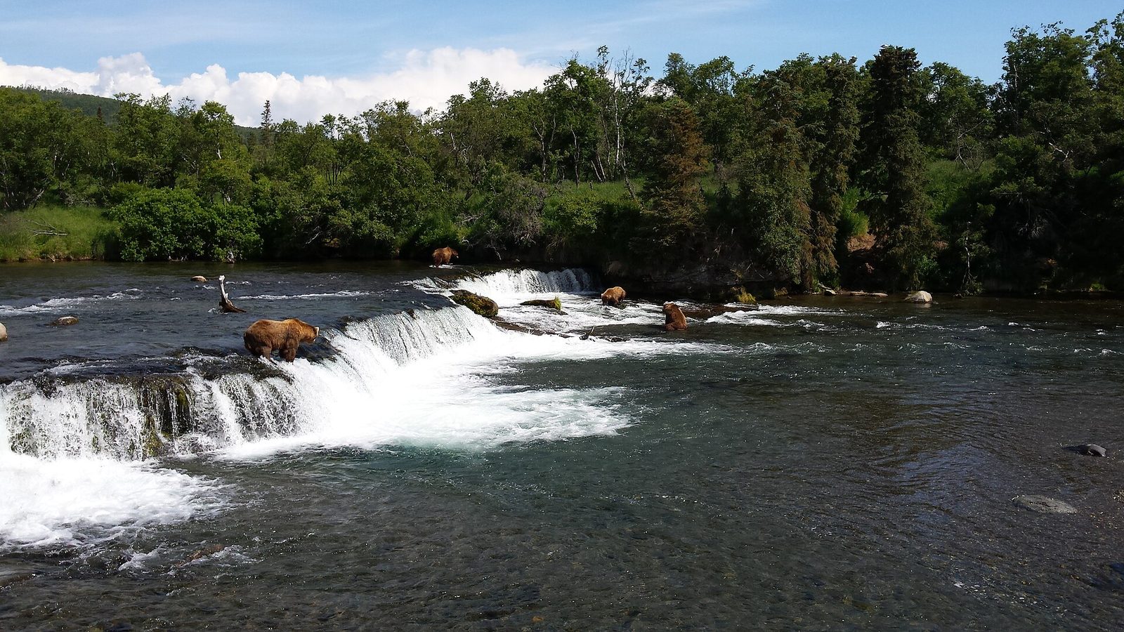 Brooks Falls