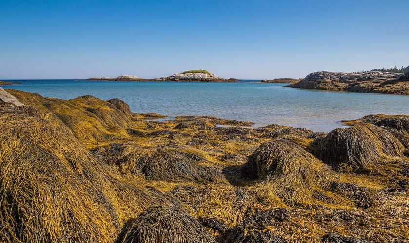 Harbour Rocks Trail