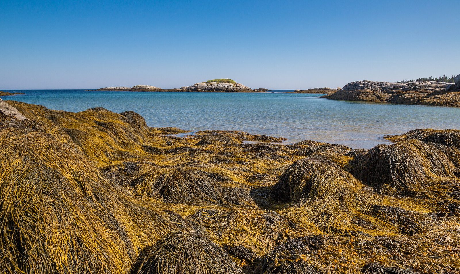 Harbour Rocks Trail