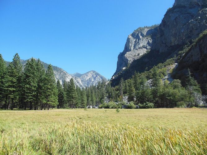 Zumwalt Meadow