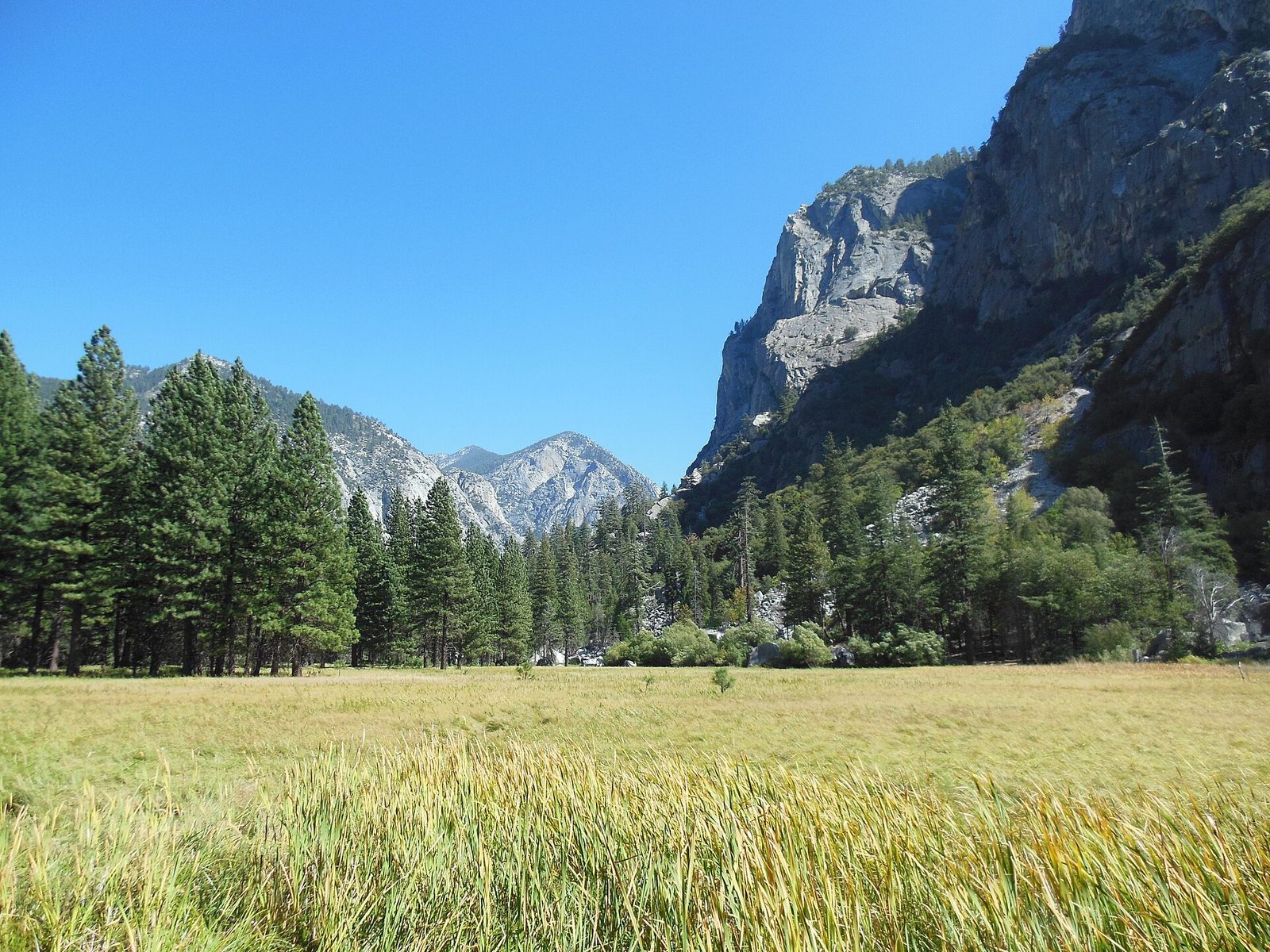 Zumwalt Meadow