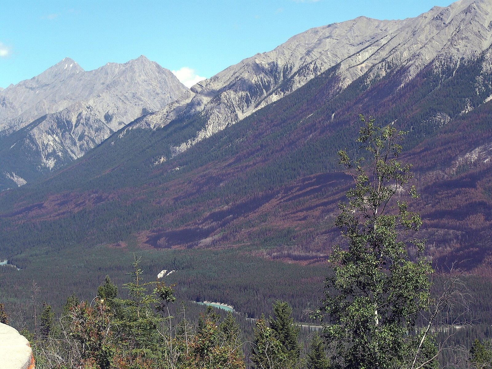 Kootenay Valley Viewpoint