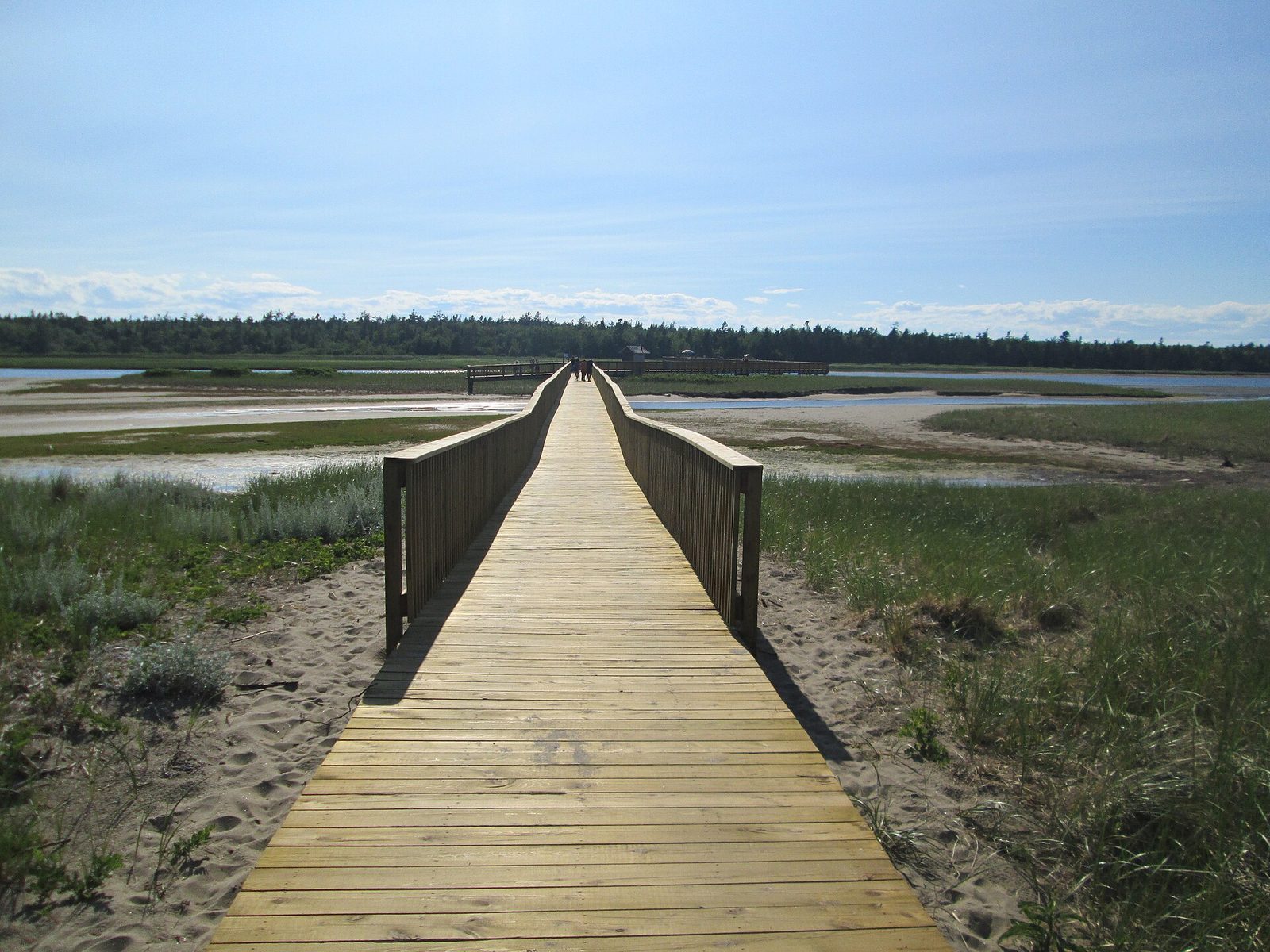 Kellys Beach