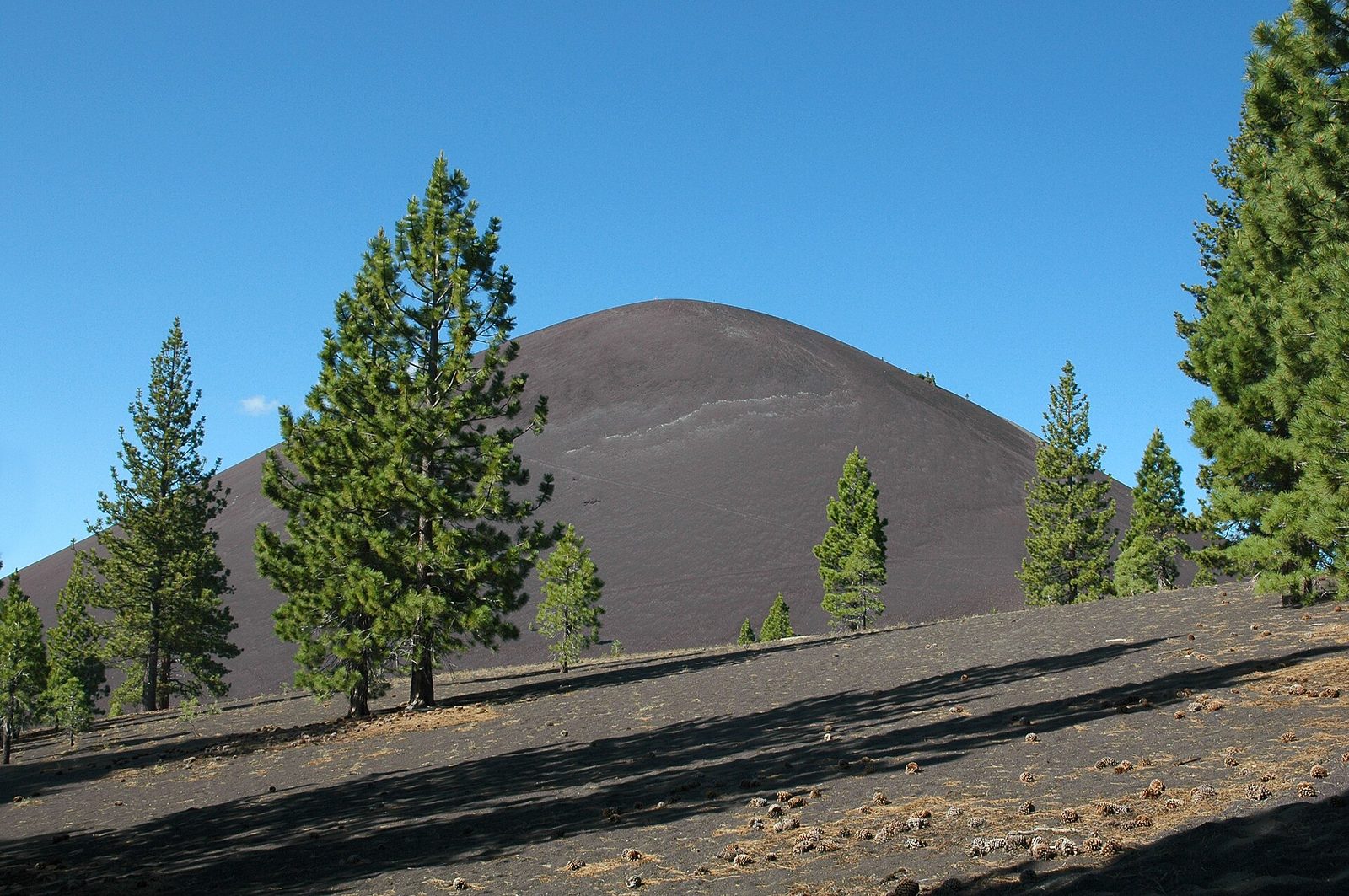 Cinder Cone