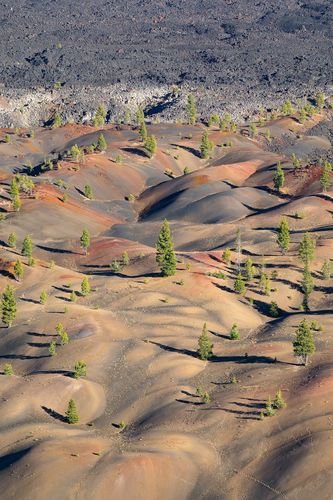 Painted Dunes