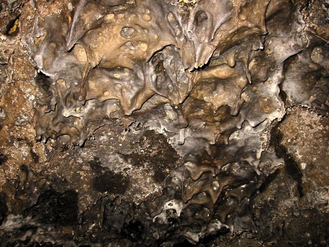Mushpot Cave