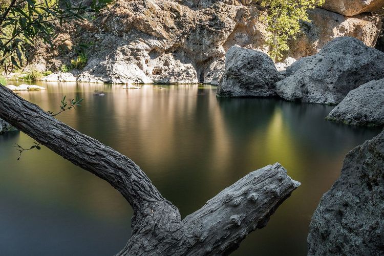 Rock Pool
