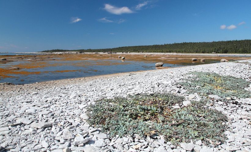 Île Quarry
