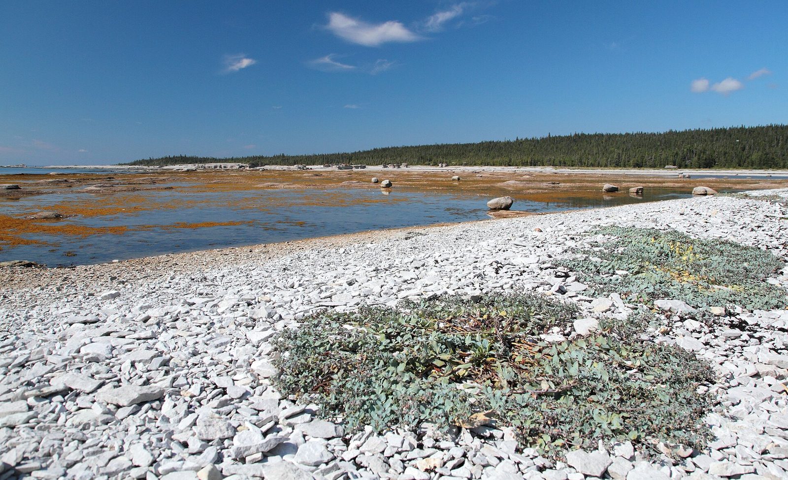 Île Quarry
