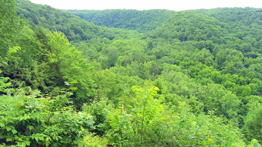 Gorge Overlook
