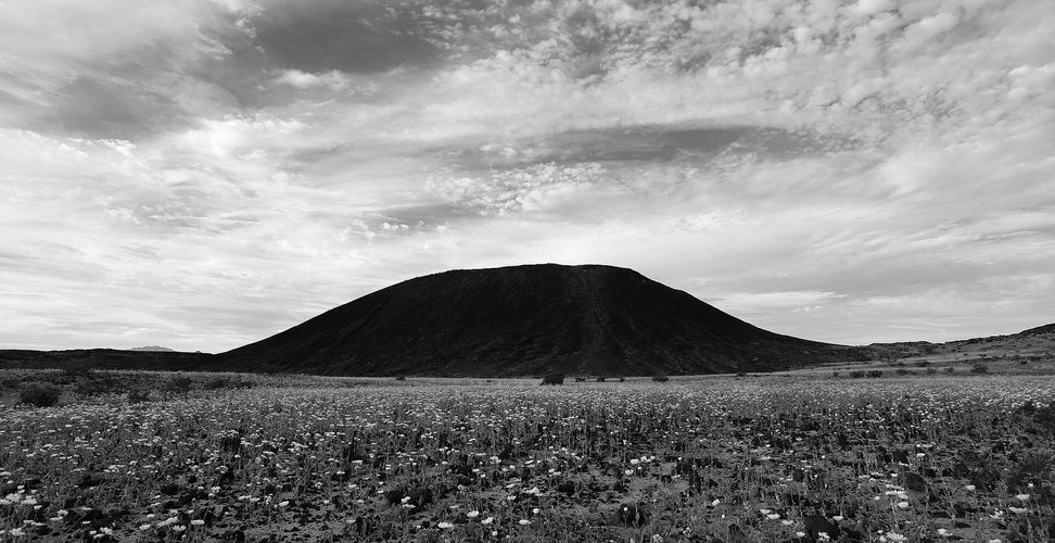 Amboy Crater