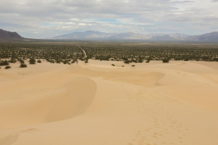 Cadiz Dunes