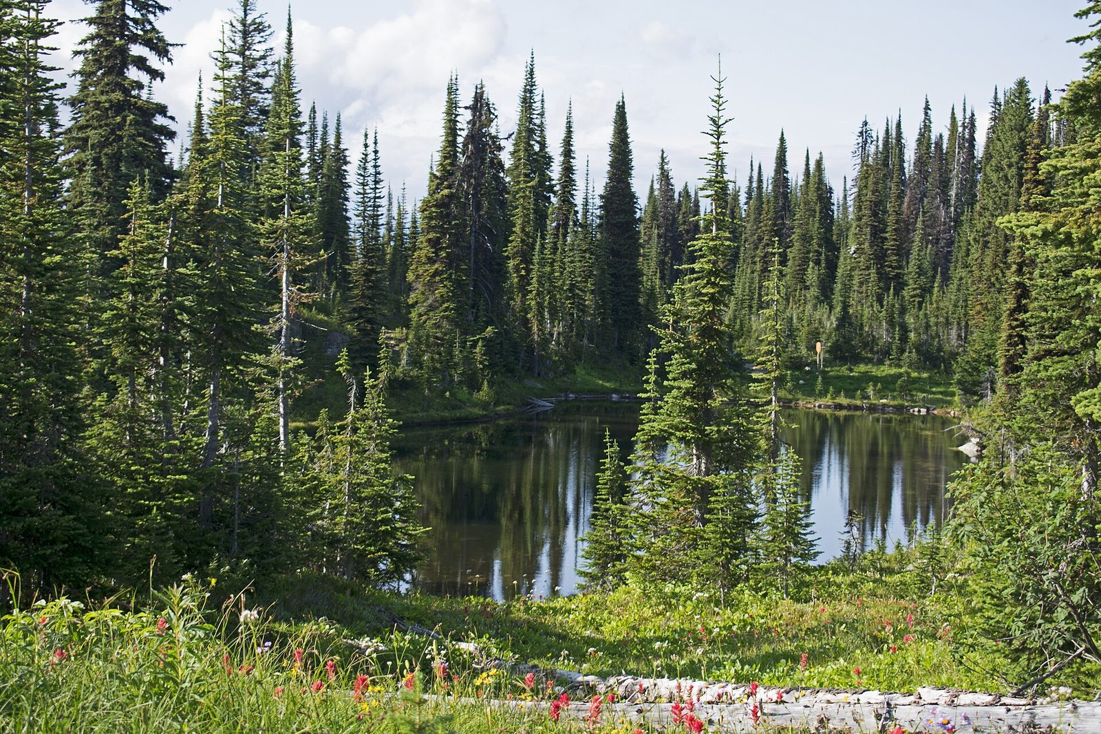 Heather Lake