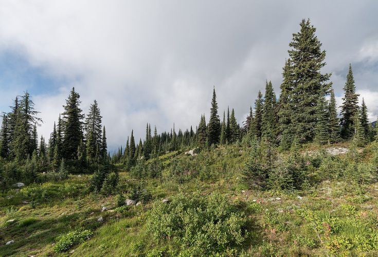 Mount Revelstoke
