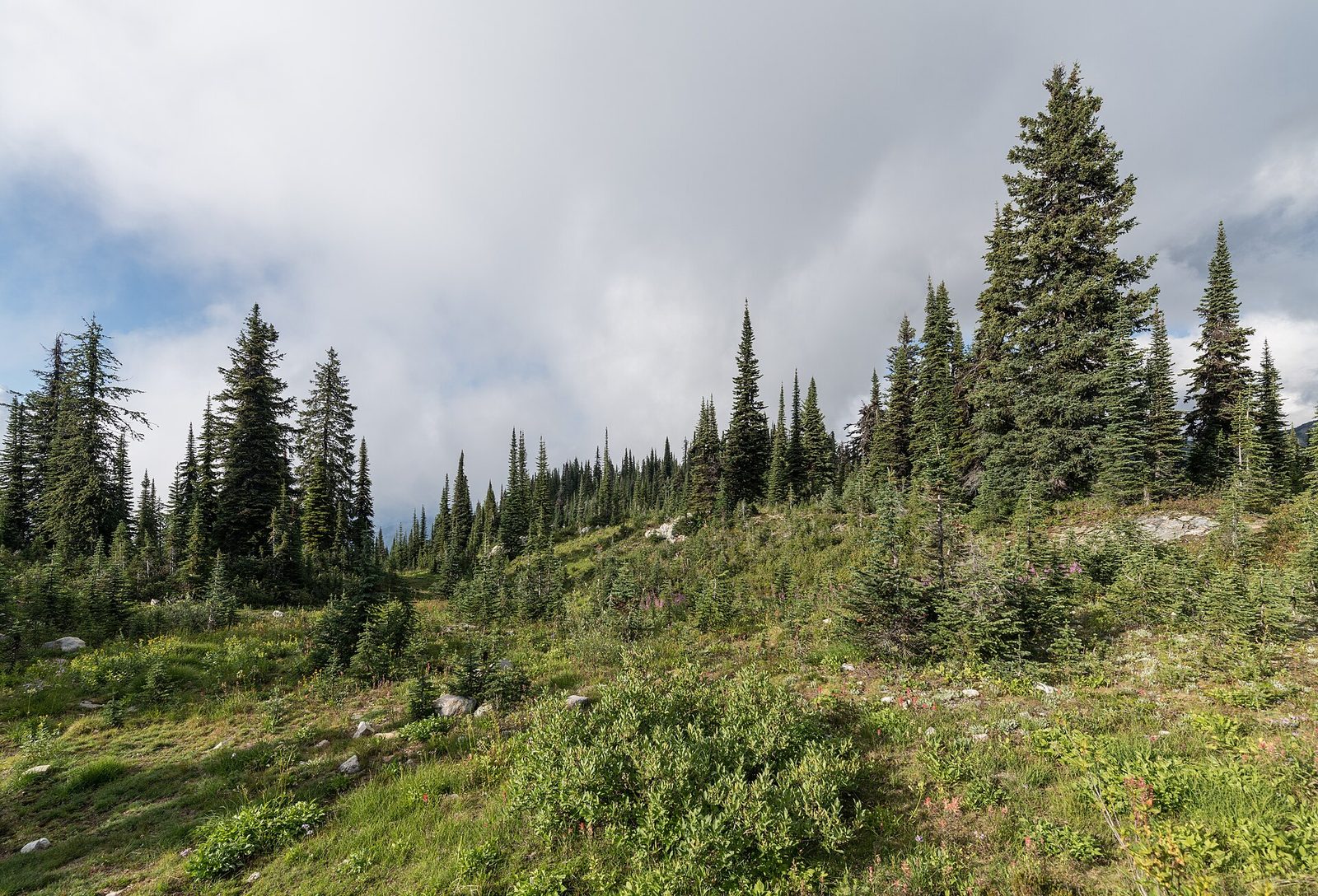 Mount Revelstoke