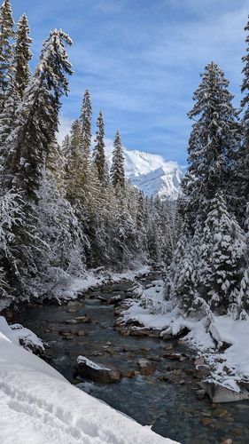 Berg Lake Trail