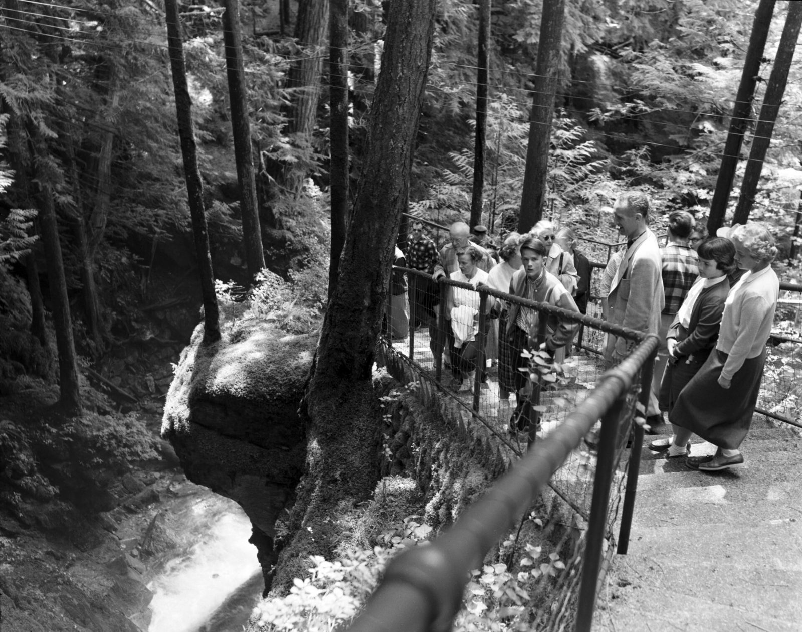 Ladder Creek Falls