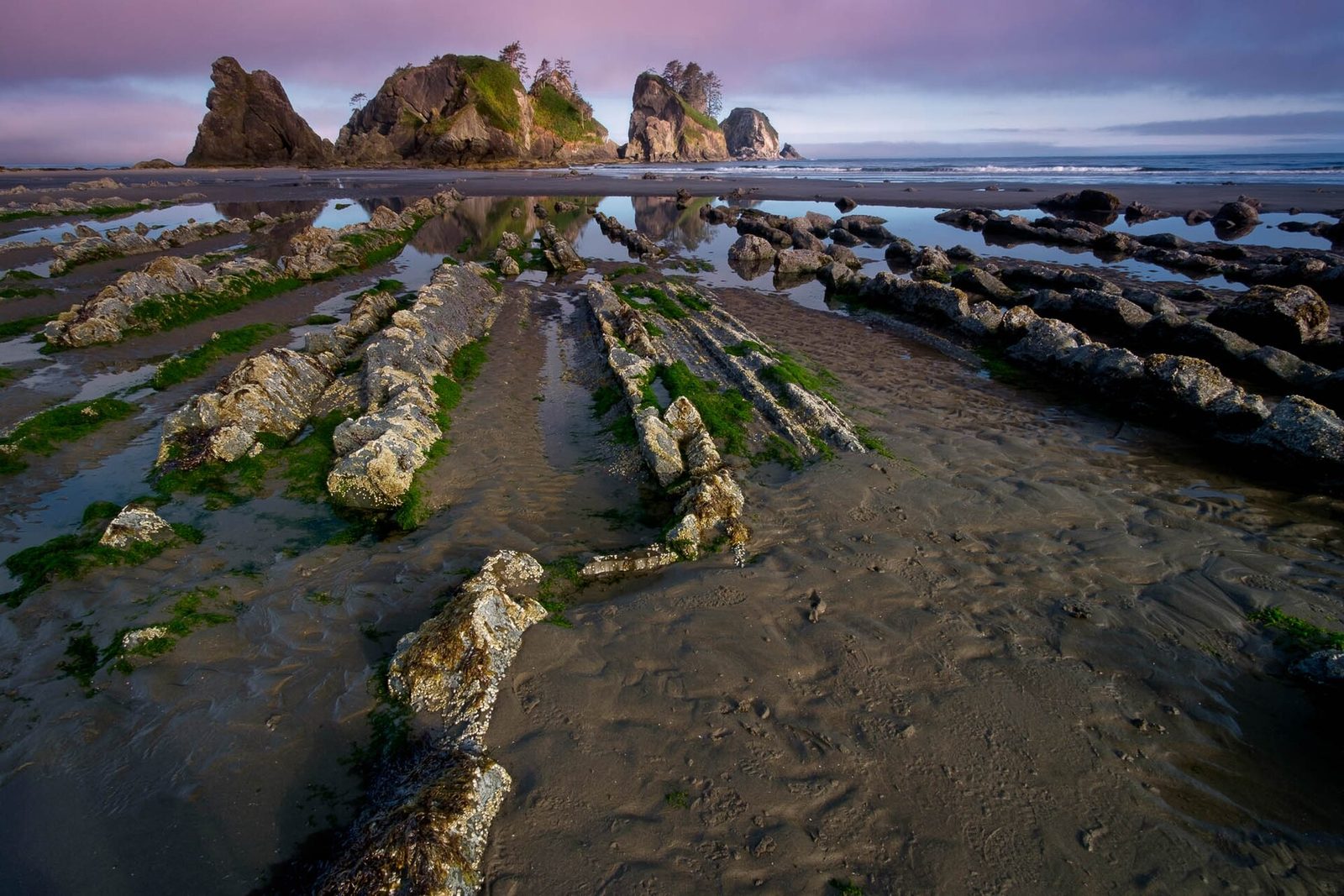 Point of the Arches