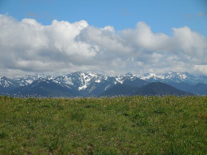 Hurricane Ridge