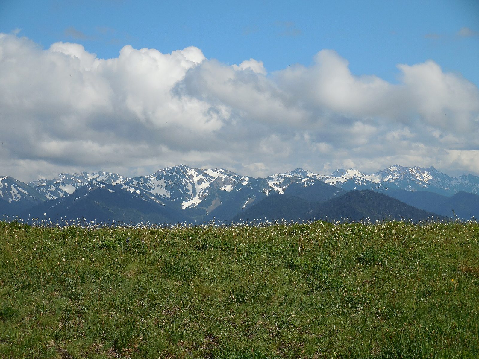 Hurricane Ridge