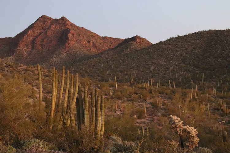 Desert View Trail