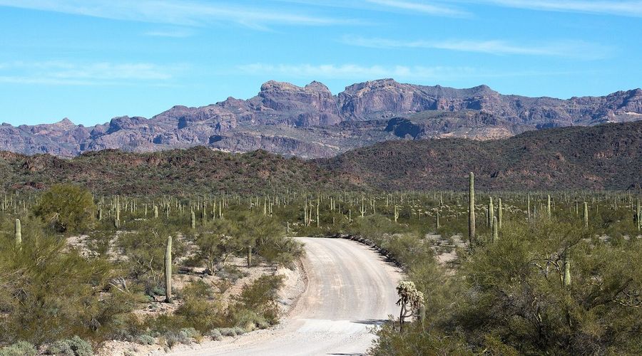 Ajo Mountain Drive