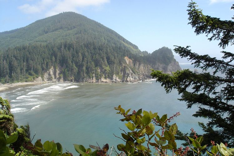 Cape Falcon Trail