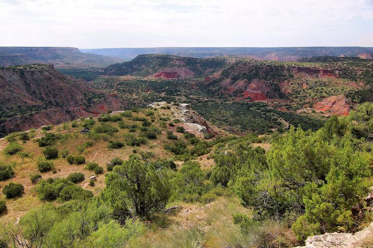 CCC Overlook