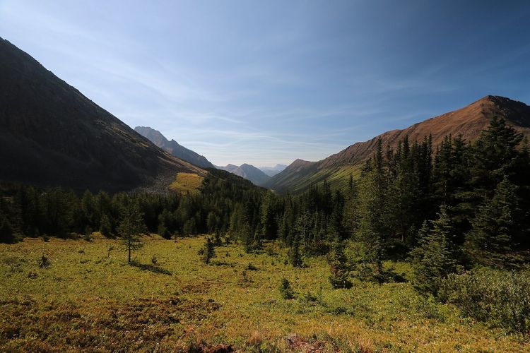 Ptarmigan Cirque Trail