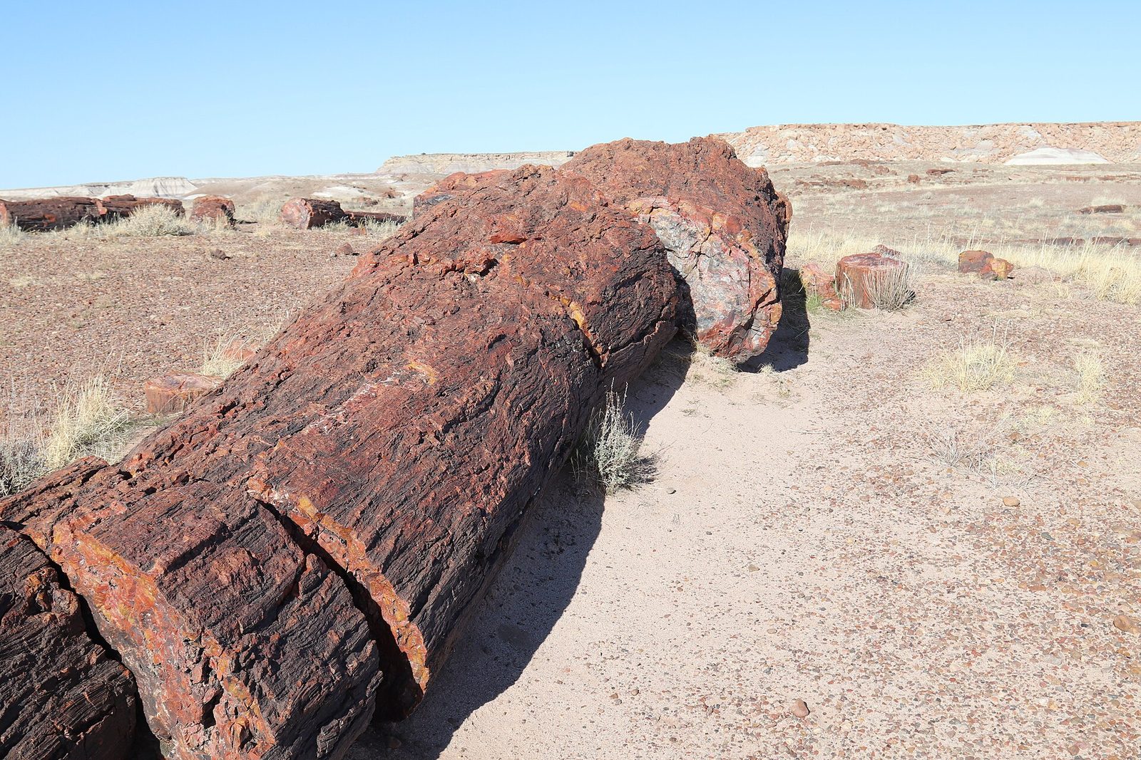 Giant Logs Trailhead