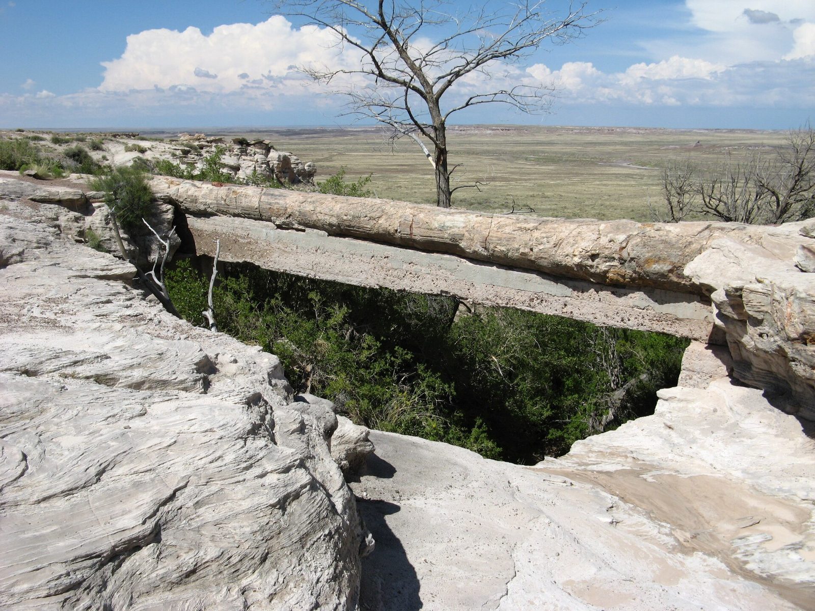 Agate Bridge Viewpoint